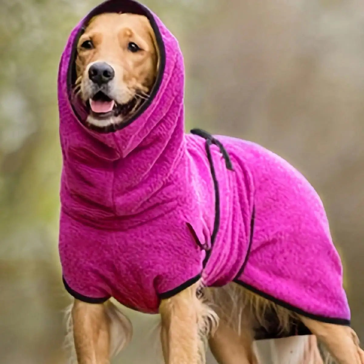 🐕🧥 PawTherm™ Winter Dog Coat – Cozy Warmth for Greyhounds & More