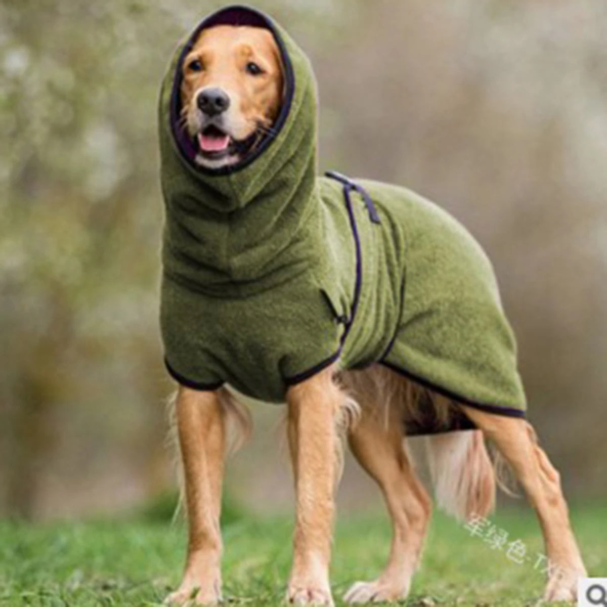 🐕🧥 PawTherm™ Winter Dog Coat – Cozy Warmth for Greyhounds & More
