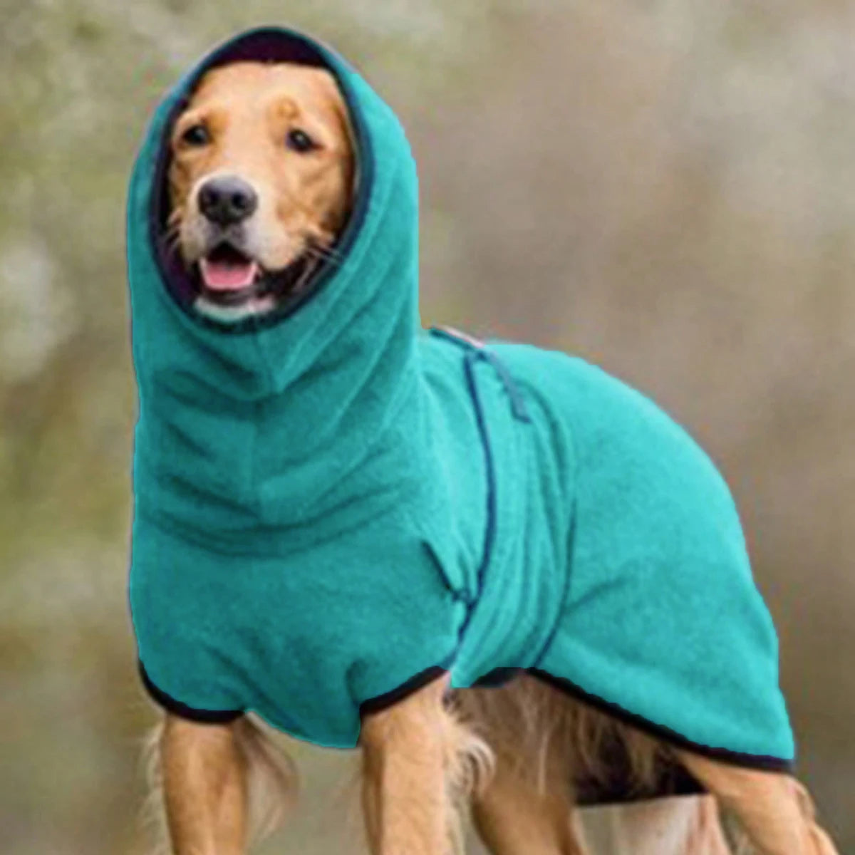 🐕🧥 PawTherm™ Winter Dog Coat – Cozy Warmth for Greyhounds & More